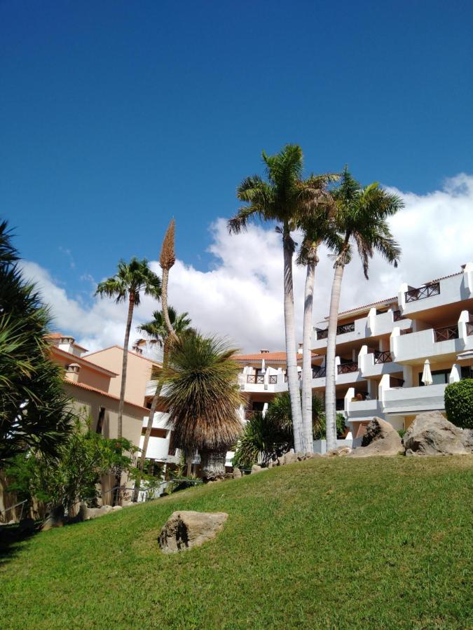 Forest Flat - Big Heated Pool, Terrace, Tv Channels, Golf Courses San Miguel de Abona Esterno foto