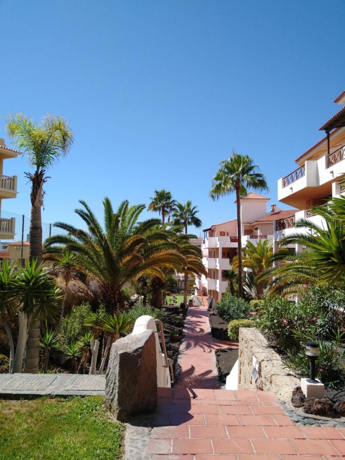 Forest Flat - Big Heated Pool, Terrace, Tv Channels, Golf Courses San Miguel de Abona Esterno foto