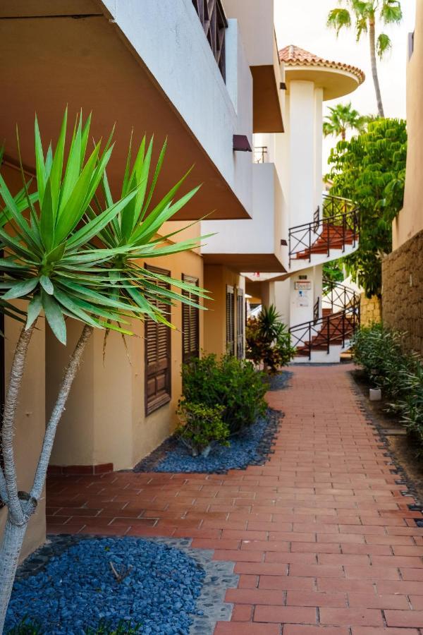Forest Flat - Big Heated Pool, Terrace, Tv Channels, Golf Courses San Miguel de Abona Esterno foto