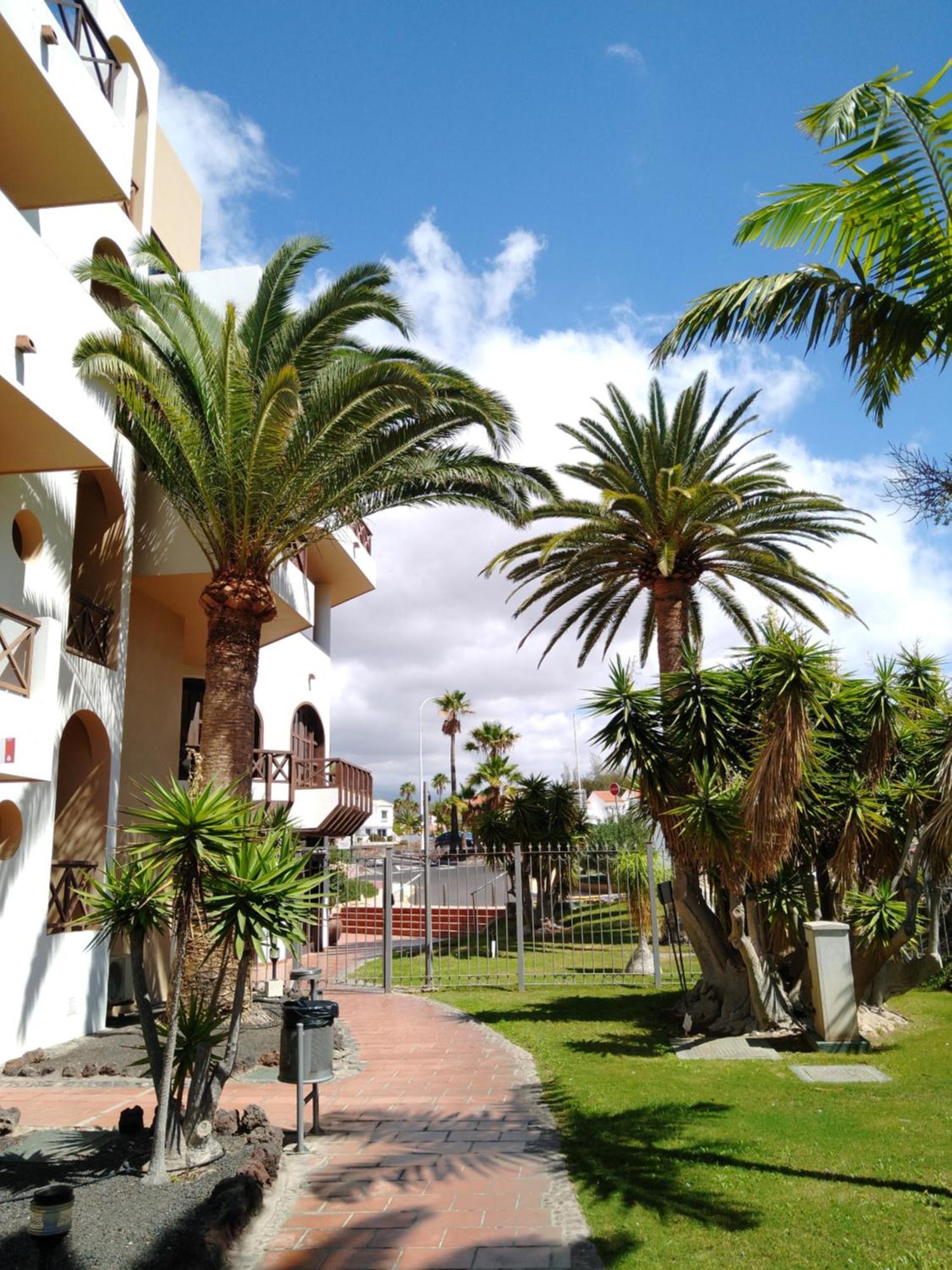 Forest Flat - Big Heated Pool, Terrace, Tv Channels, Golf Courses San Miguel de Abona Esterno foto